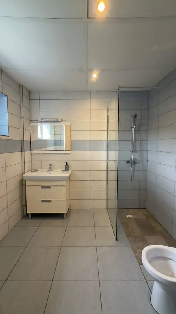 Salle d'eau avec douche à l'italienne et lavabo