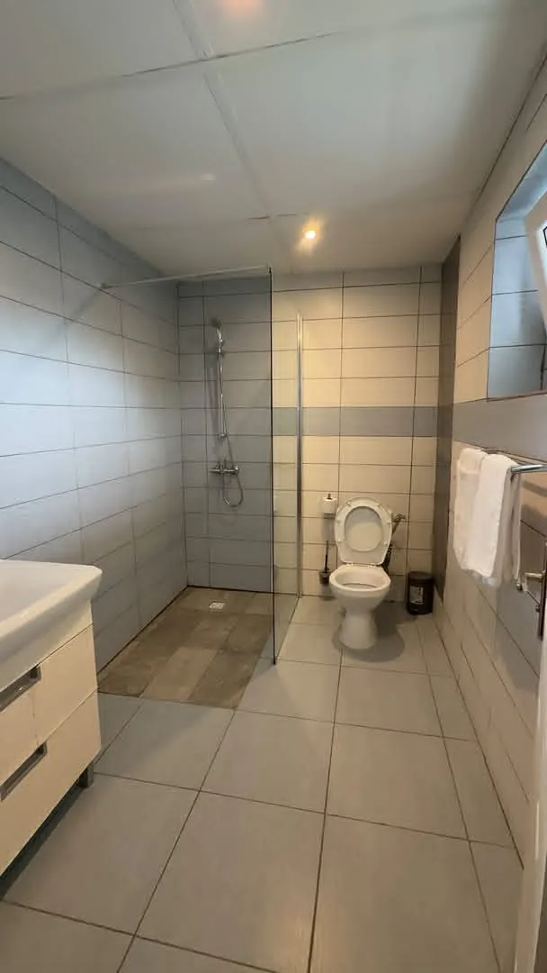 Salle d'eau avec douche à l'italienne et WC