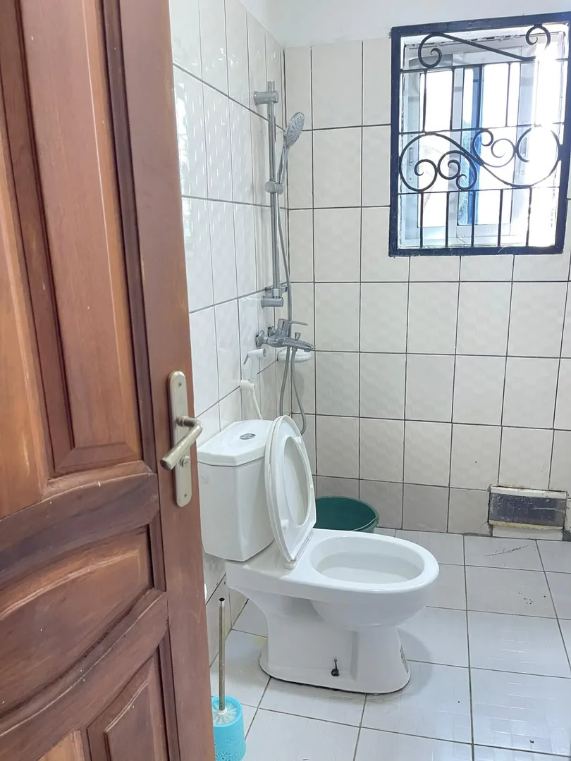 Salle d'eau avec douche et WC, porte en bois