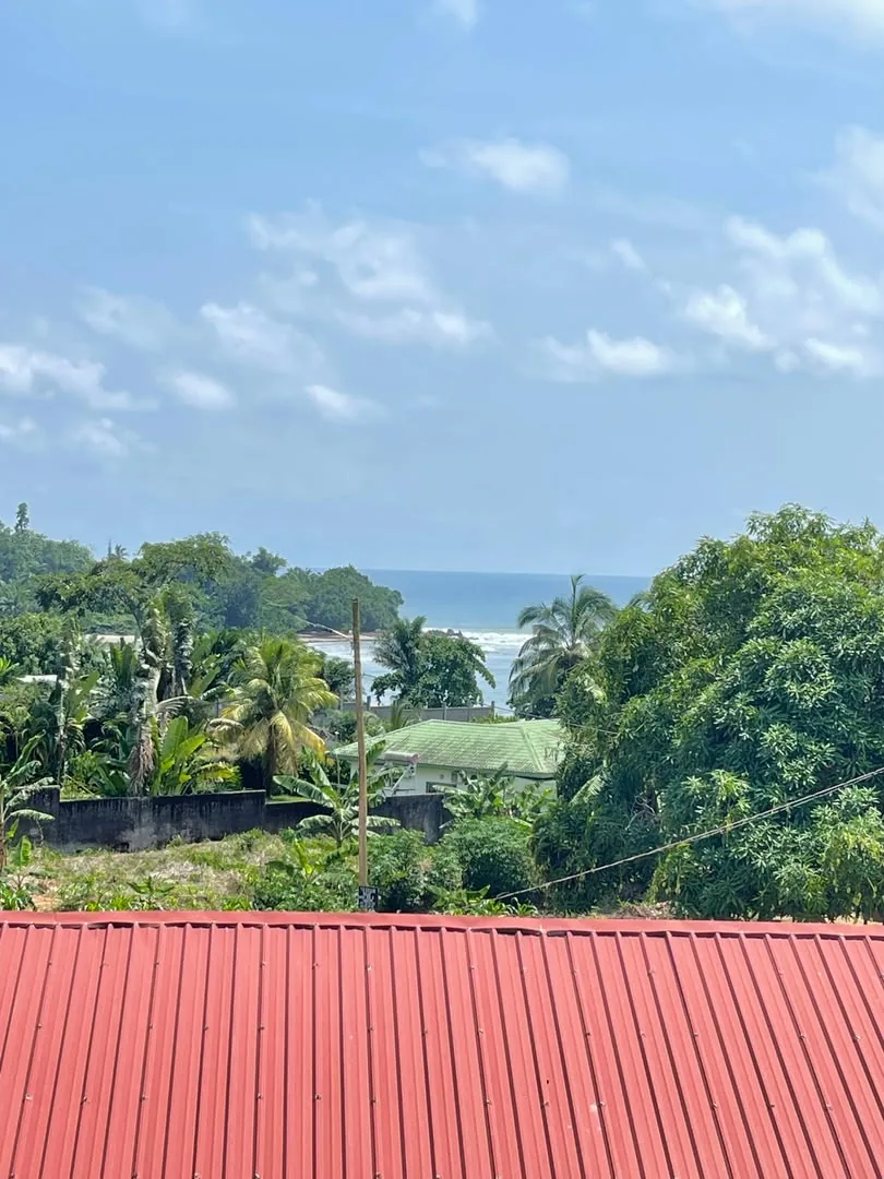 Vue sur la mer et la végétation depuis l'immeuble