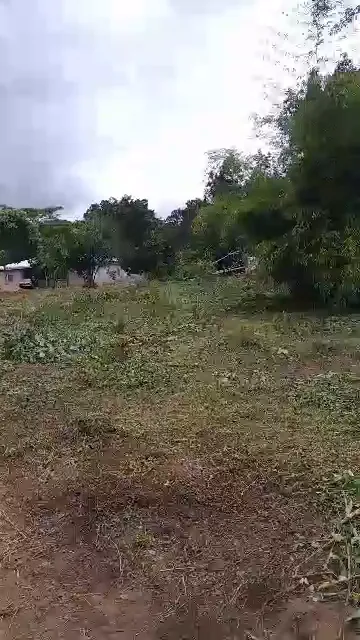 Terrain plat d'Afanétouana, au bord de la route Soa–Esse