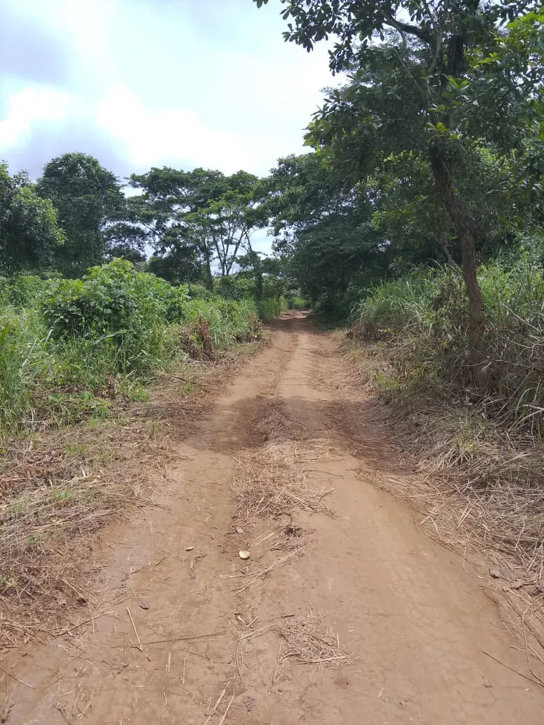 Piste de terre à Afanétouana