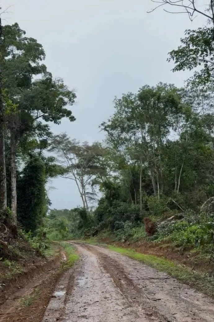 Piste de terre menant au terrain de Ndangueng, à Mfou
