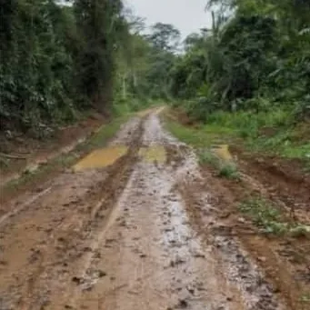 Piste d'accès en terre, avec ornières, menant au terrain de Ndangueng
