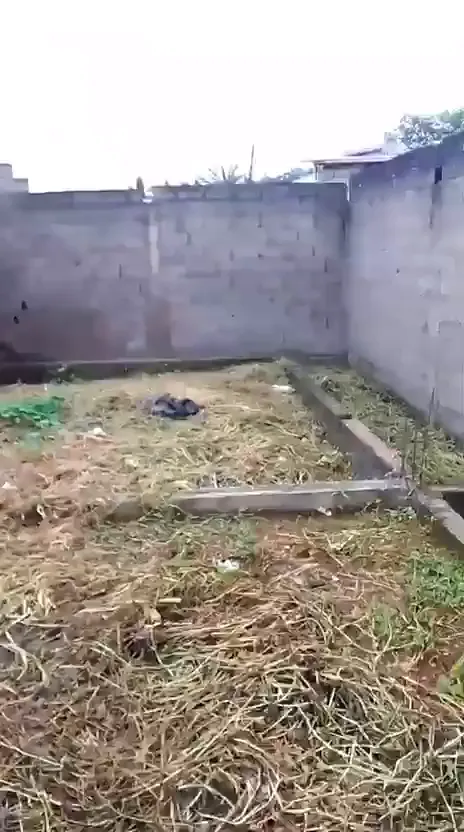 Terrain bâti de Mvog-Ada, fermé par des murs en parpaings